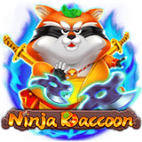 Ninja Raccoon